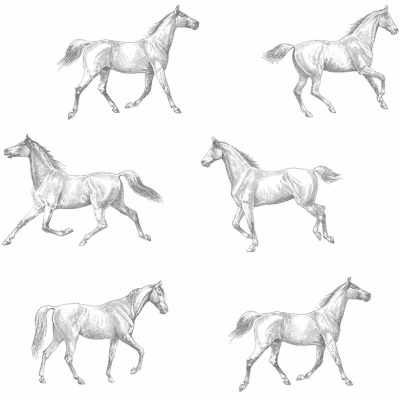 living-crandon_papel-horses_white_285202326